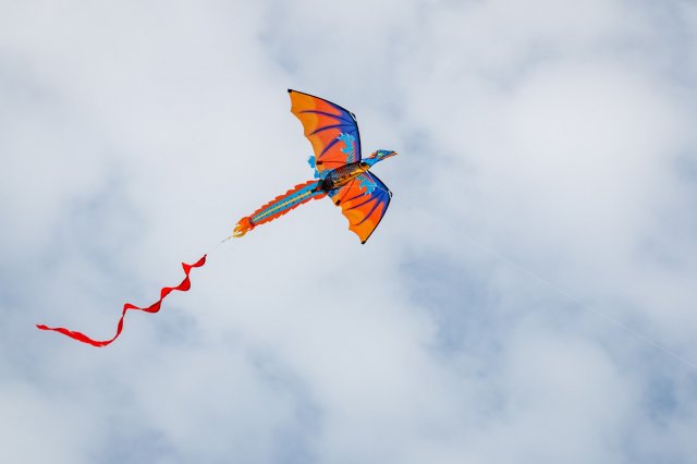 12. Thüringer Drachenflugtage - Steffen Geyer