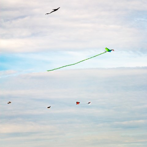 12. Thüringer Drachenflugtage - Steffen Geyer